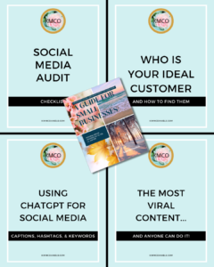 Social Media Audit Checklist
Who is Your Ideal Customer and how to Find Them
Using ChatGPT for Social Media
The Most Viral Content